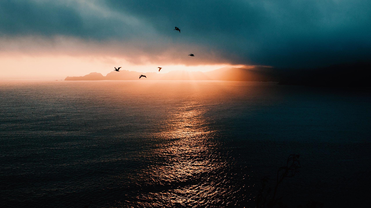 Nature Landscape Sunlight Ocean Birds Clouds Стая птиц перелетают море во время солнечного заката