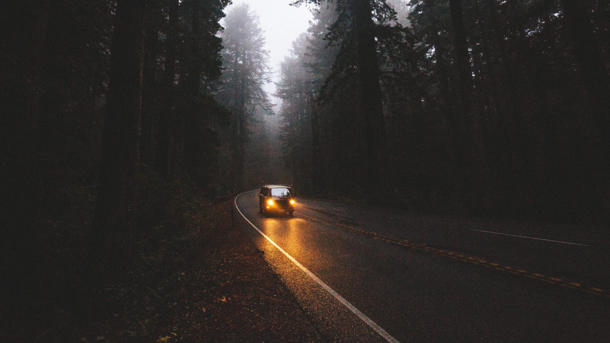 Atmospheric Autumn Night Forest Minivan Road Fog В темном холодном лесу едет минивэн по дороге