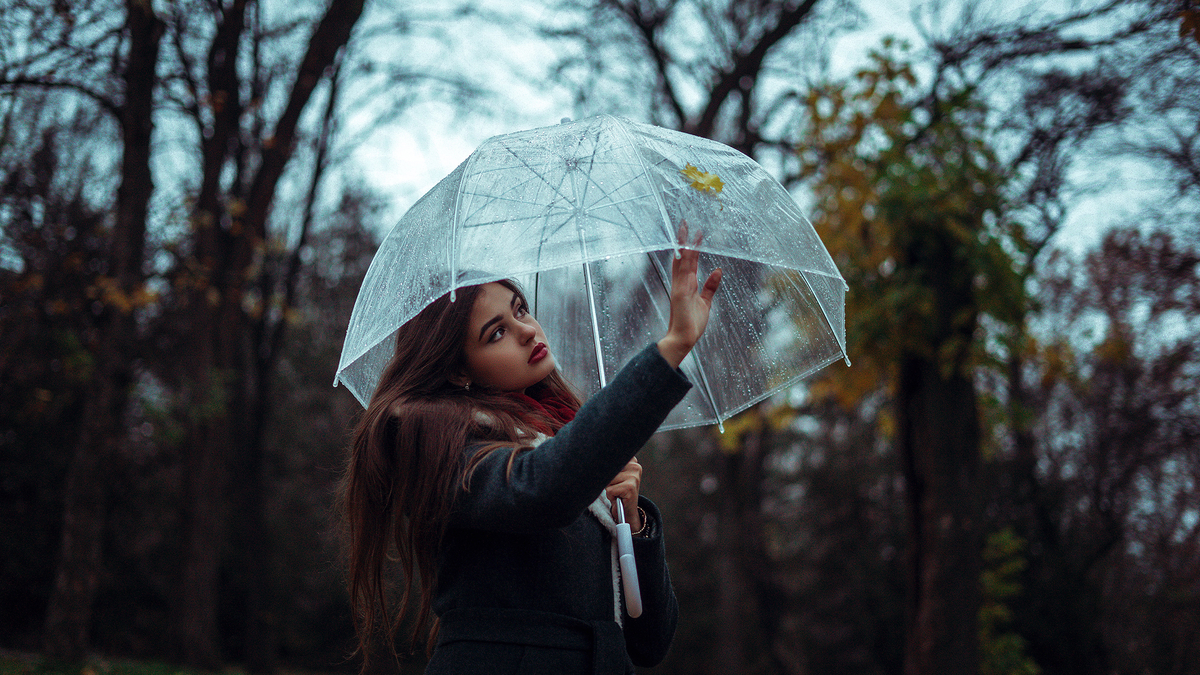 Rain Autumn Forest Woman Umbrella Девушка под зонтов в лесу в дождливую осень