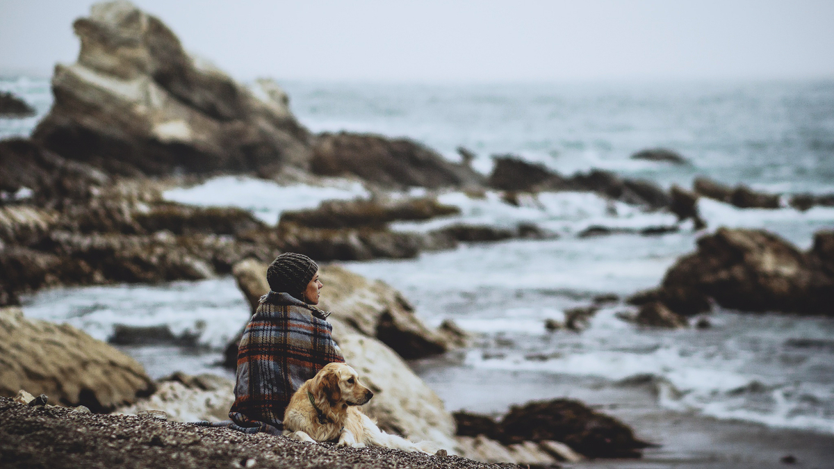 Woman Cap Plaid Ocean Dog Девушка женщина с собакой на скалистом берегу океана моря укутанная в плед смотрит в даль